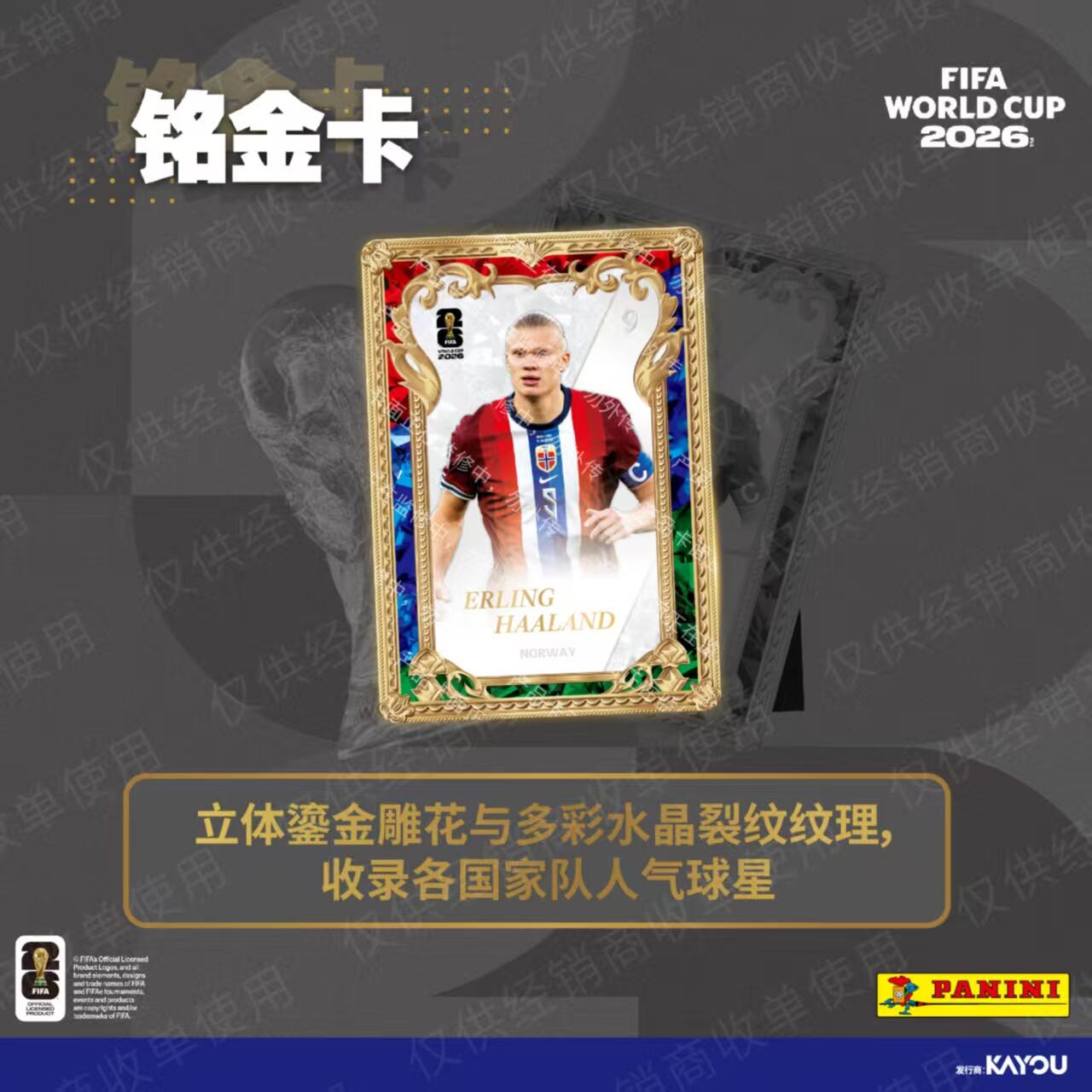 카유 파니니 FIFA 월드컵 2026 축구 카드 정품  - Board Game Football 리뷰 및 가격